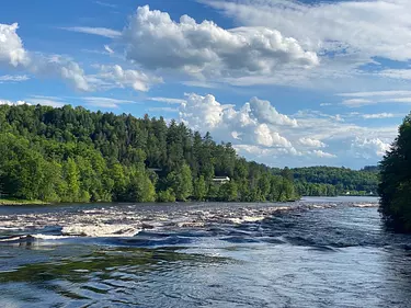 a river with trees and a house