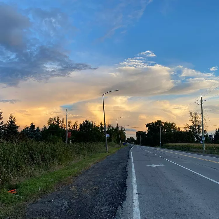 a road with grass and trees on the side