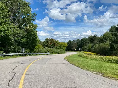 a road with trees on the side