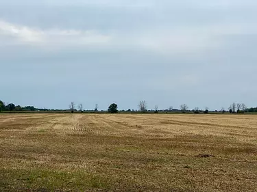 a large open field with trees in the distance