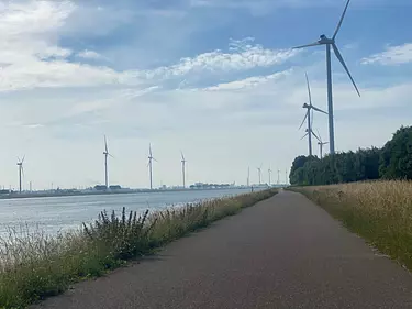 wind mills by the water