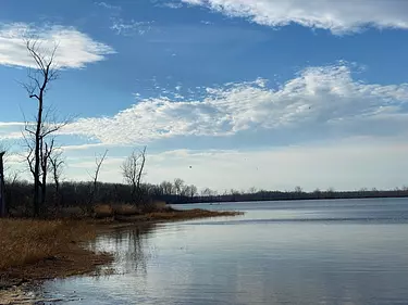 view from Shirley's bay