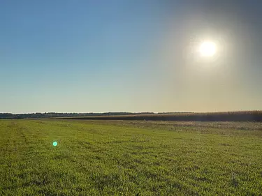 a large green field