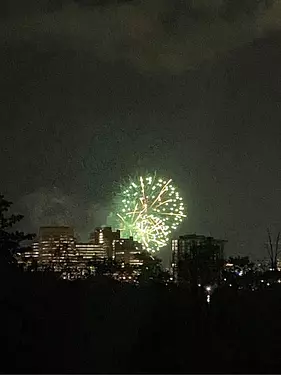 fireworks in the sky