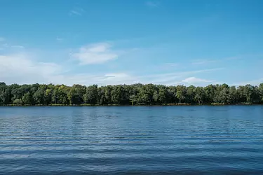 a body of water with trees in the back