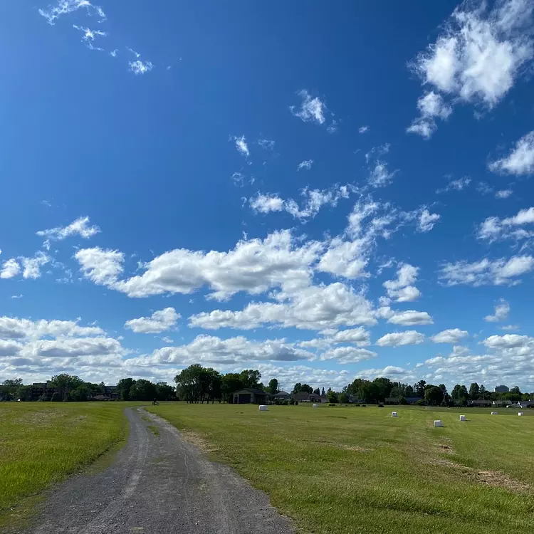 a dirt road in a field