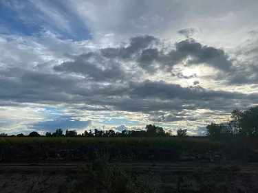 a field with trees and clouds in the sky