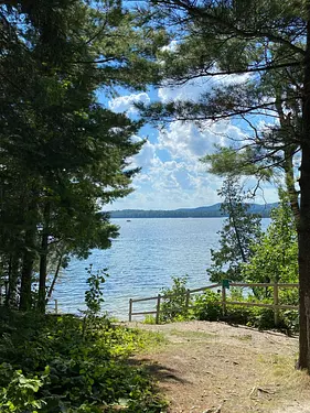 a path leading to the chill spot