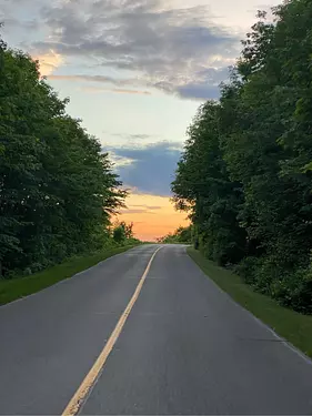 a road with trees on the side