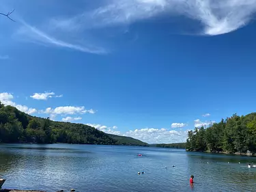 a body of water with trees and mountains in the background