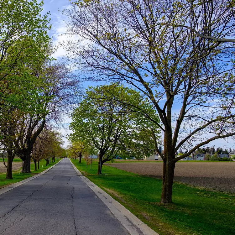 Experimental Farm in Ottawa