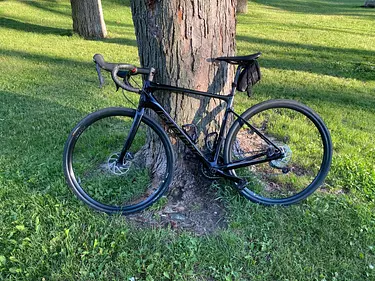 a bicycle leaning against a tree