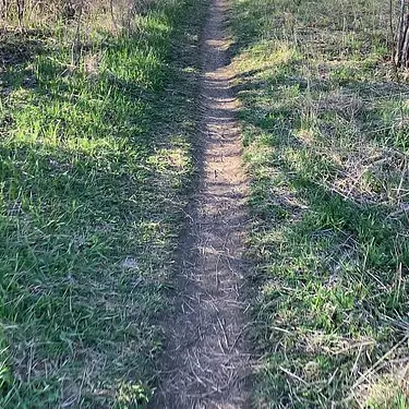 Riding on Single Track Trails