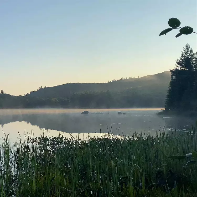 Morning view from Taylor Lake