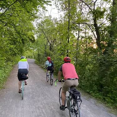 a group of people riding bikes on a path in the woods