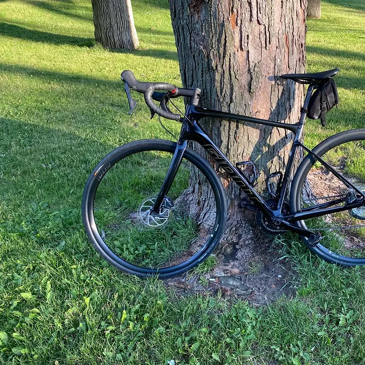 a bicycle leaning against a tree