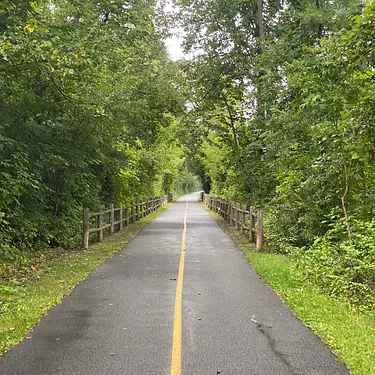 a road with trees on the side