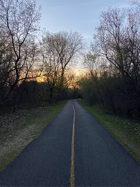 a road with trees on the side