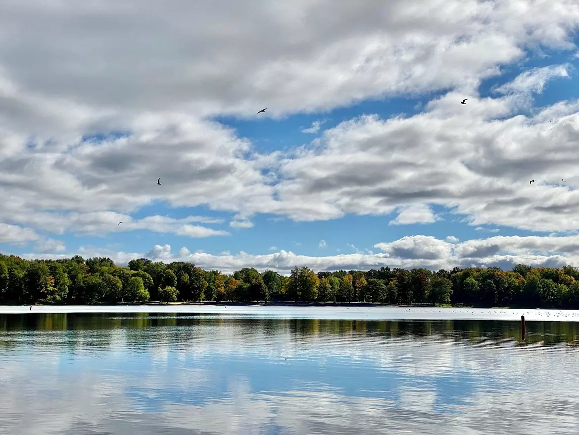 a body of water with trees and a cloudy sky