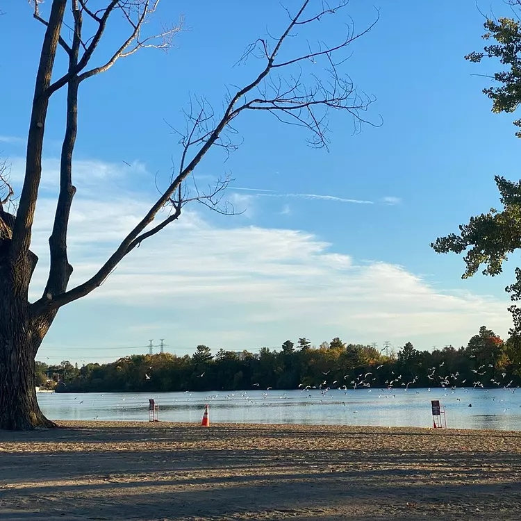 Sprints 🌅 🚴‍♂️💨