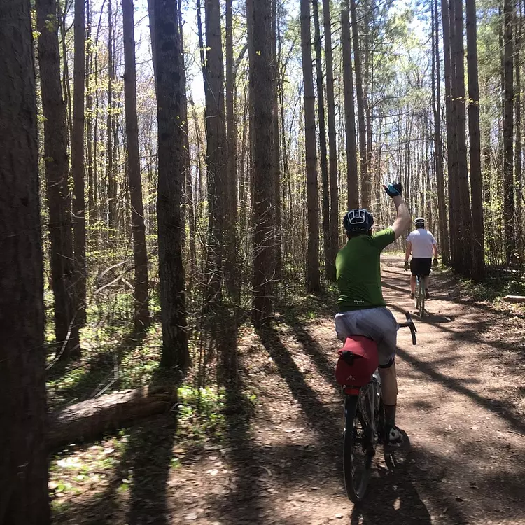riding bikes through a forest