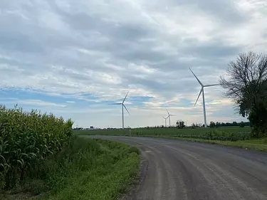 a road with windmills on the side