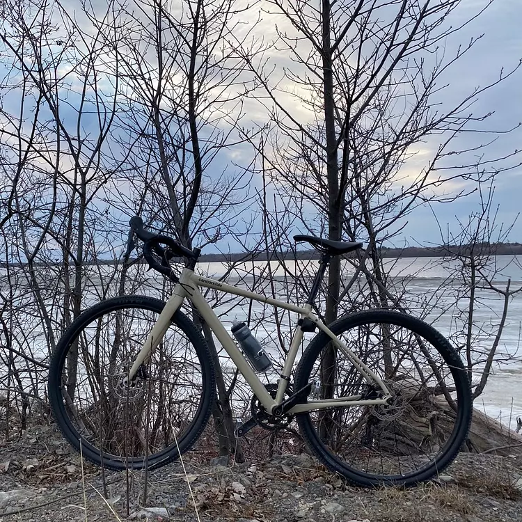 a bicycle parked by a tree