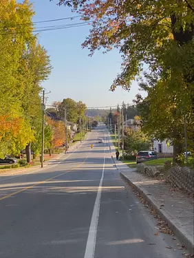 a street with trees on the side