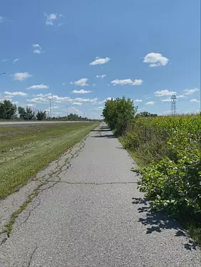 a road with bushes and trees on the side