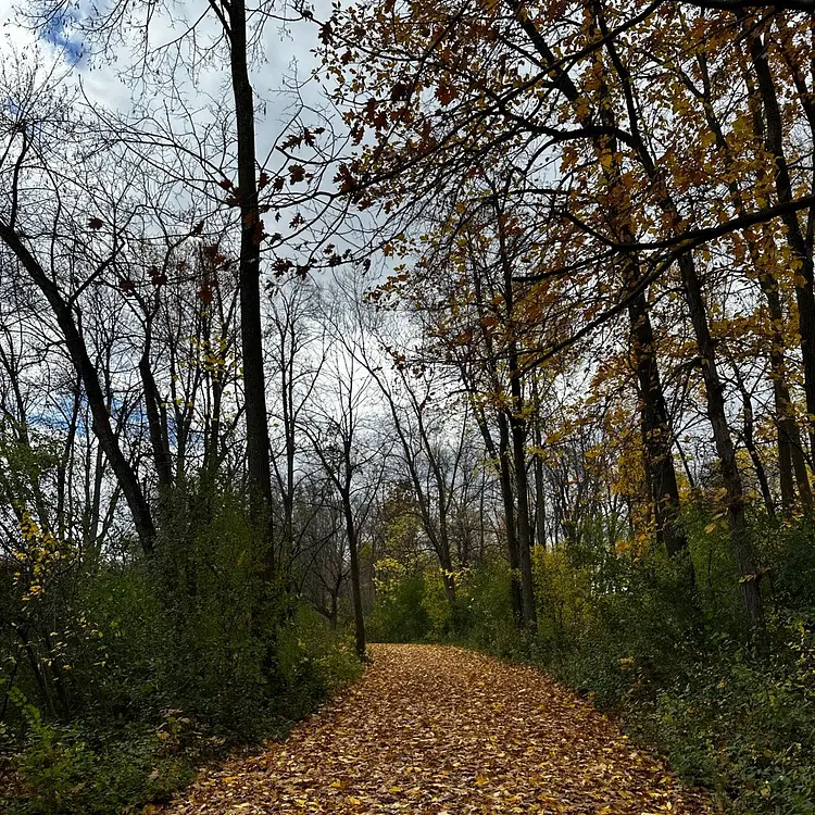 Fun loop Downtown