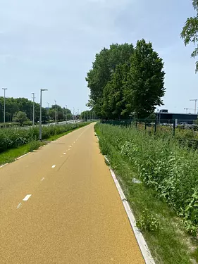 cool yellow road