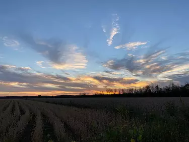 sunset by the road