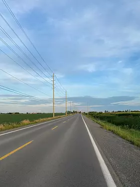 a road with power lines on the side