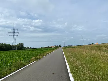 a road with grass on the side