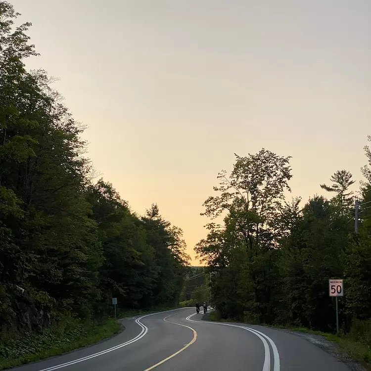 a road with trees on the side