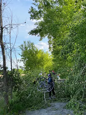 a group of people riding bikes on a trail in the woods