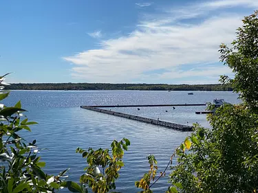 a body of water with trees around it