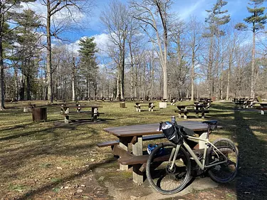 Vincent Massey Park