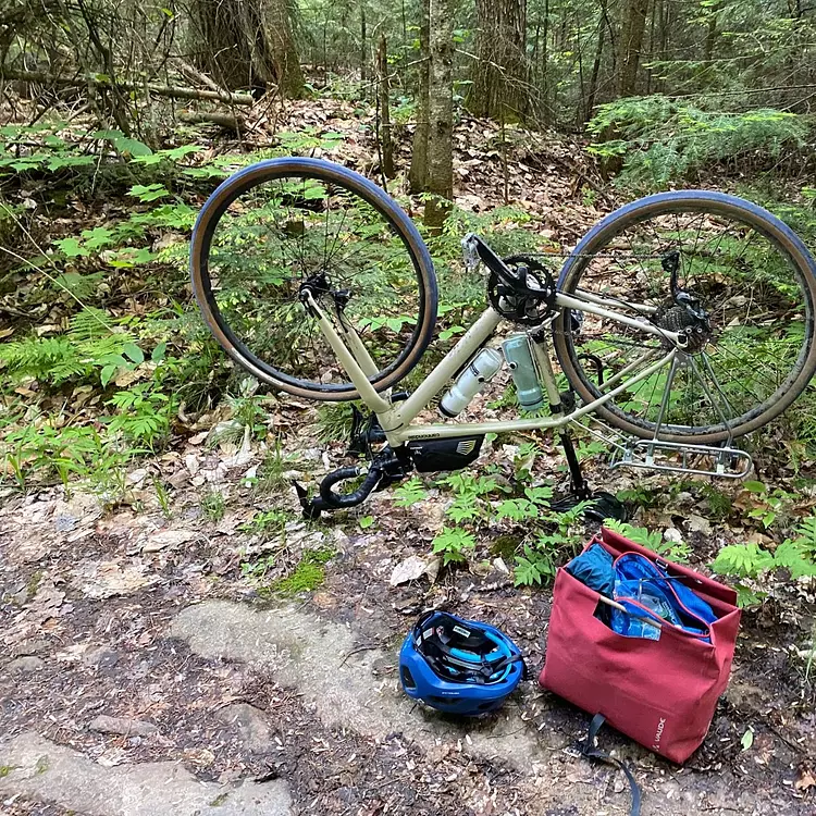 flat tire, fixing my bike amongst the bugs