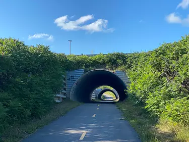 a tunnel in the middle of a road