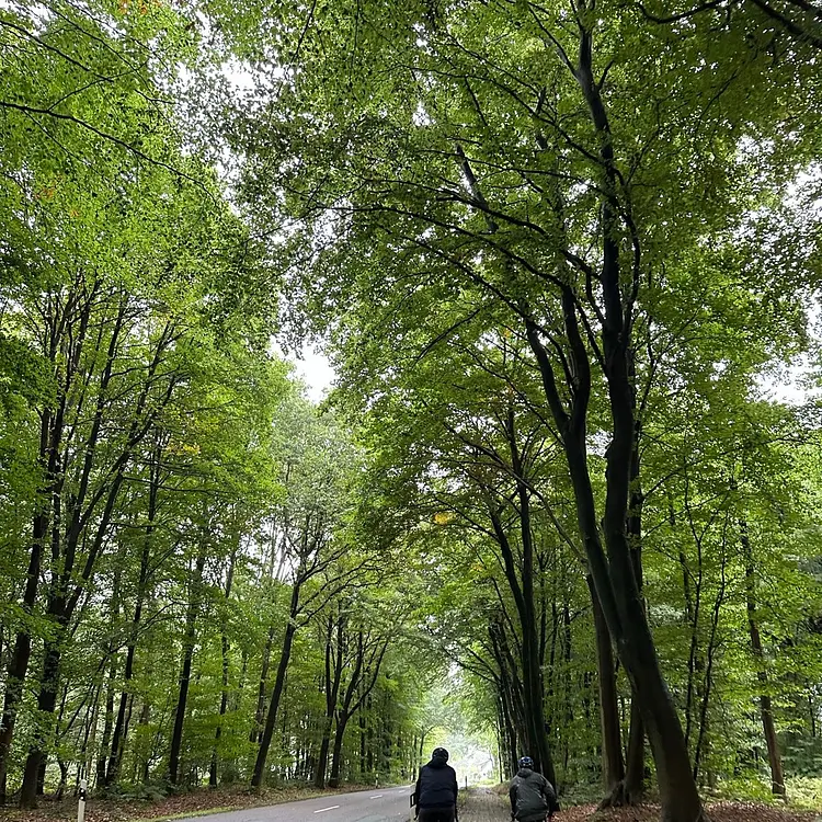 To Krautsand #eurobiketrip