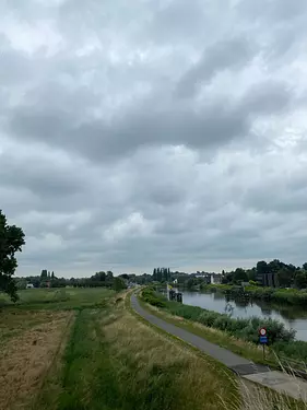 a path with grass and trees by a body of water