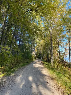 a dirt road with trees on either side of it