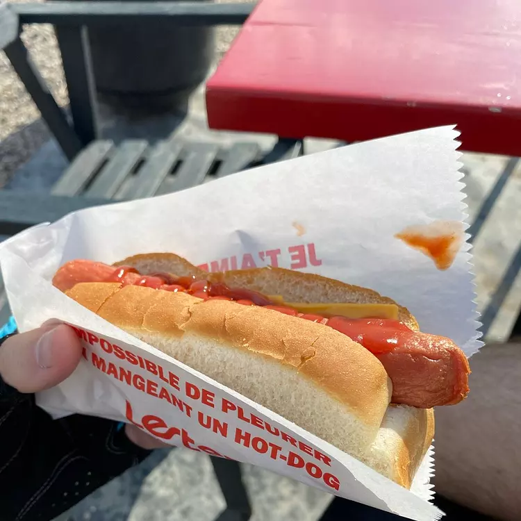 hot dog: important food