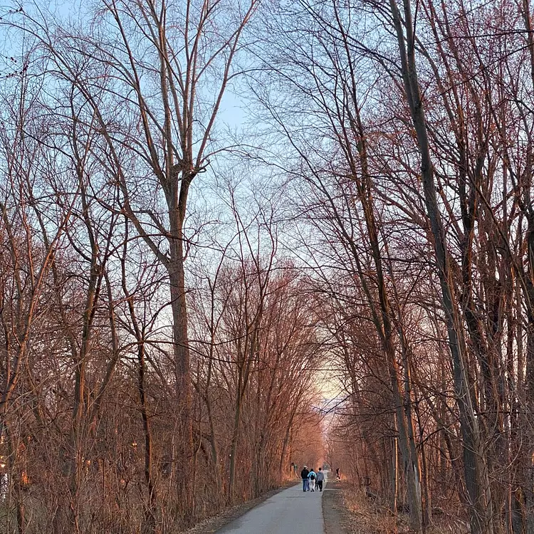 a group of people riding bikes on a road surrounded by trees