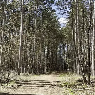 Enjoying Gravel in the Ottawa Greenbelt