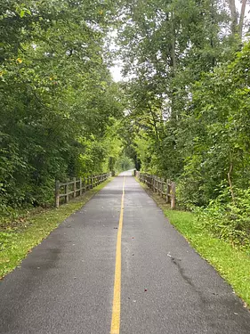 a road with trees on the side