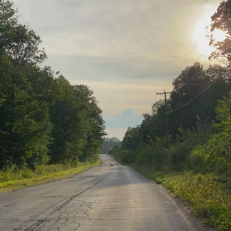 a road with trees on the side