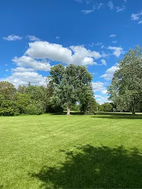 a grassy field with trees