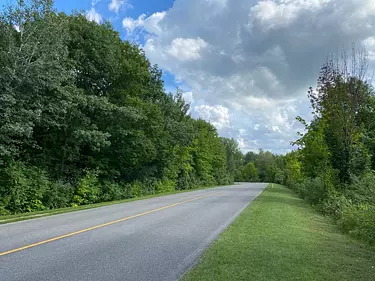 a road with trees on the side